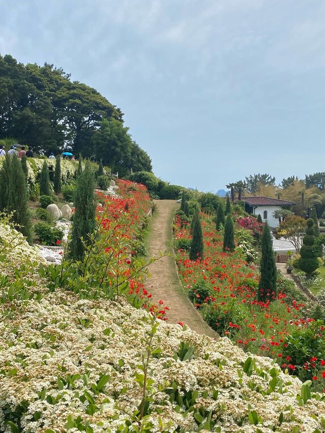 마치 해외에 온 듯한 거제 외도 보타니아 ✨
