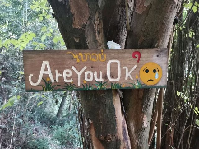 ผาส้มนาง จุดชมวิวน้องใหม่แห่งหนองเขียว