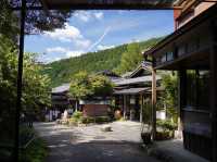 【京都】三千院　苔の庭園がとても美しい