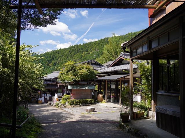 【京都】三千院　苔の庭園がとても美しい