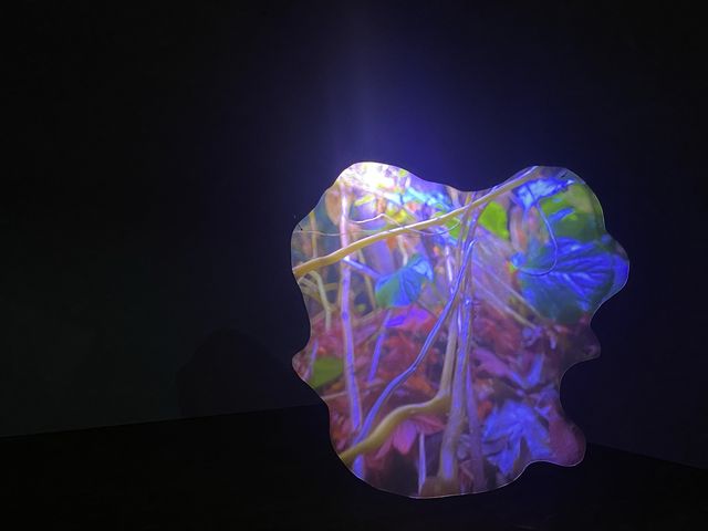 值得去參觀細味嘅展覽