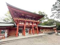 参道がものすごく長い！氷川神社！