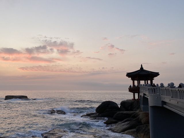 새벽 노을의 감성이 그립다면, 속초 영금정 ✨
