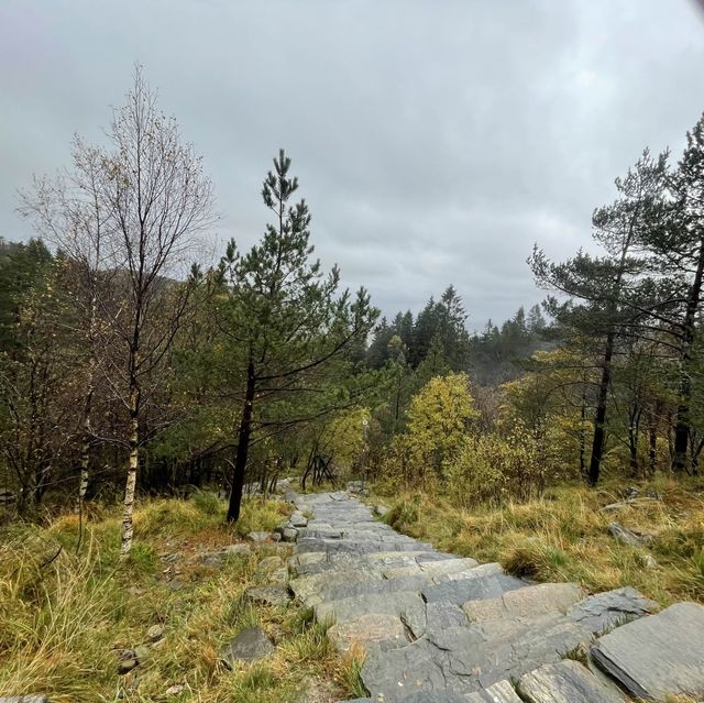 ulriken bergen