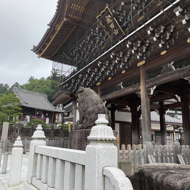 成田「新勝寺」+「表參道」