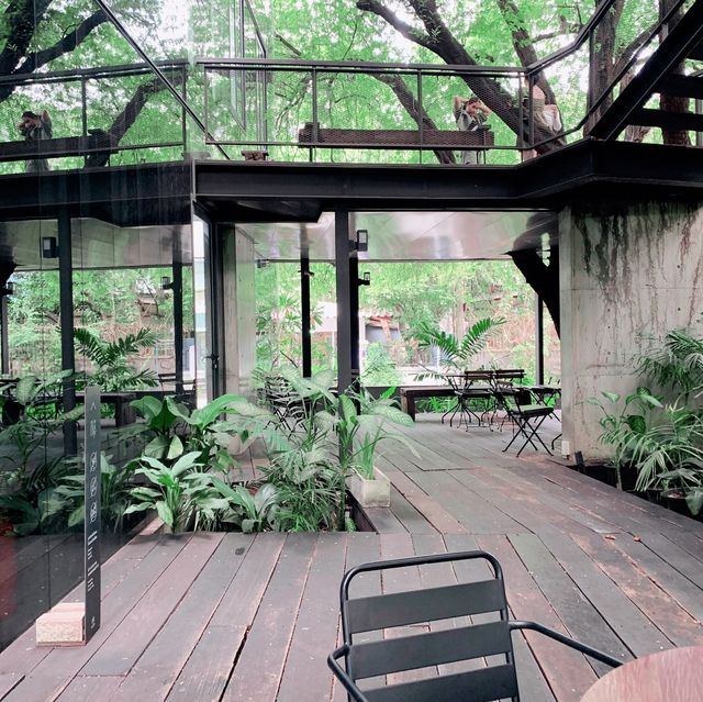Cozy Nature Cafe near BTS Phrakanong in Bangkok 🌿