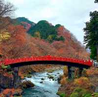 Autumn Leaves in Nikko