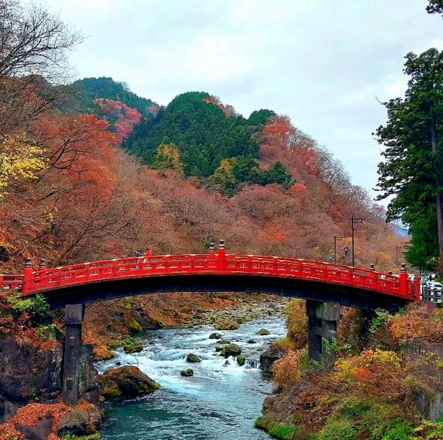 Autumn Leaves in Nikko