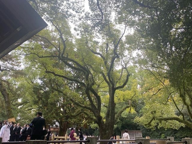 千年歷史的熱田神宮