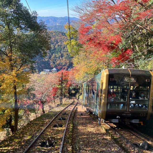 10天淺遊京都