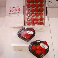 HOKKAIDO FRUITS 耕人舎

