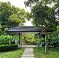 New Clark City: A Sustainable Megacity