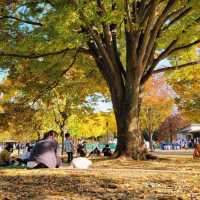 【のんびりデートに最適🍃昭和記念公園】