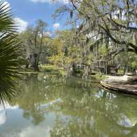 New Orleans City Park 