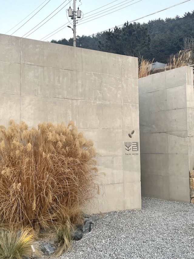 백수해안과 보리밭이 어우러진 영광카페,카페 보리