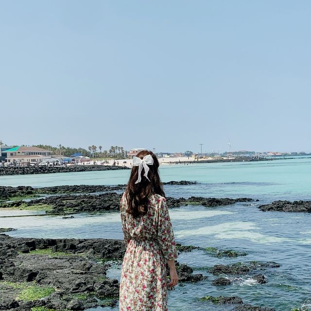 제주도의 낮