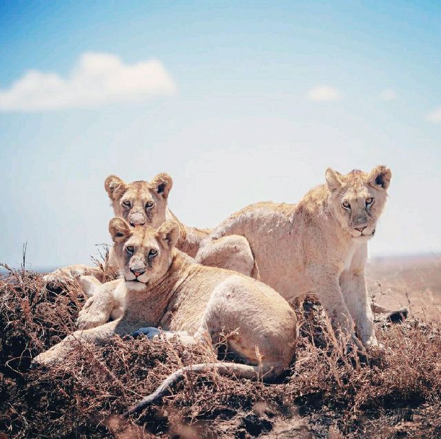 Serengeti National Park