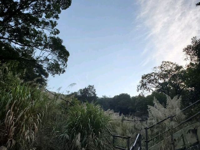 流水響 。鶴藪水塘 🍂適合行⛰️BB級 流水響 。鶴藪水塘 🍂適合行⛰️BB級