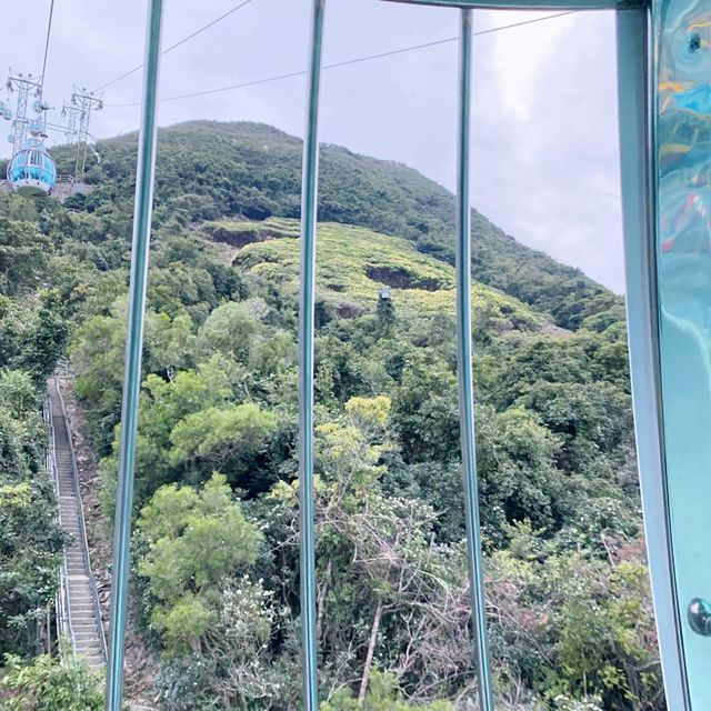 海洋公園纜車遊 海洋公園纜車遊