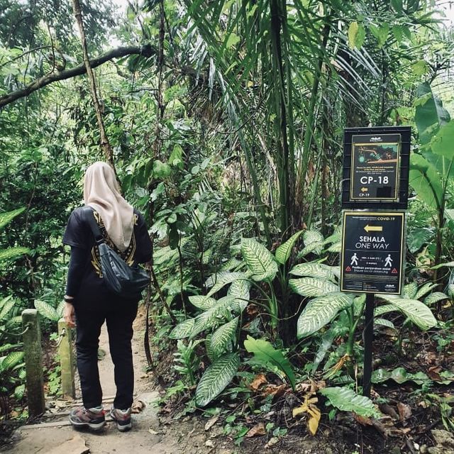 ; Hidden Forest Trail in Kuala Lumpur!🌿