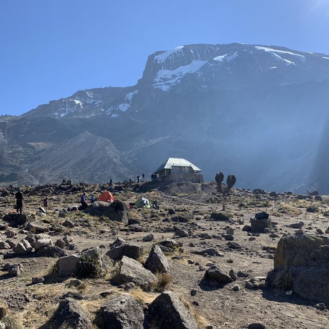 Cool Hiking at Kilimanjaro