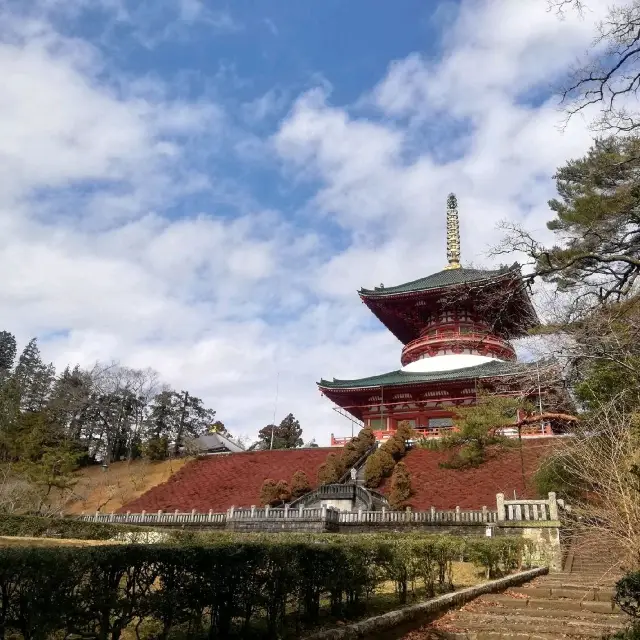 [成田]春の伊吹感じる新勝寺