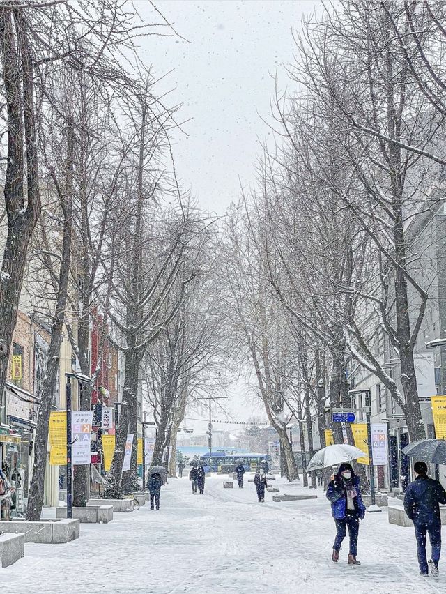 눈이 펑펑오는 날 서울의 모습 ❄️ 