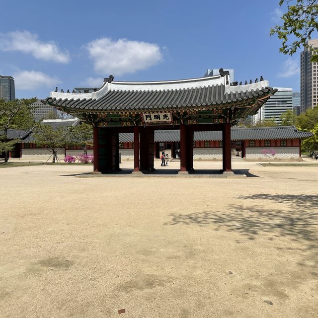 봄캉스 즐기기😍 창덕궁 근처 호캉스 추천 #봄 #호캉스