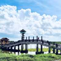 ศูนย์ศึกษาธรรมชาติ และสัตว์ป่าทะเลน้อย