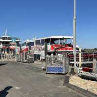 Nature Wonders of Rottness Island