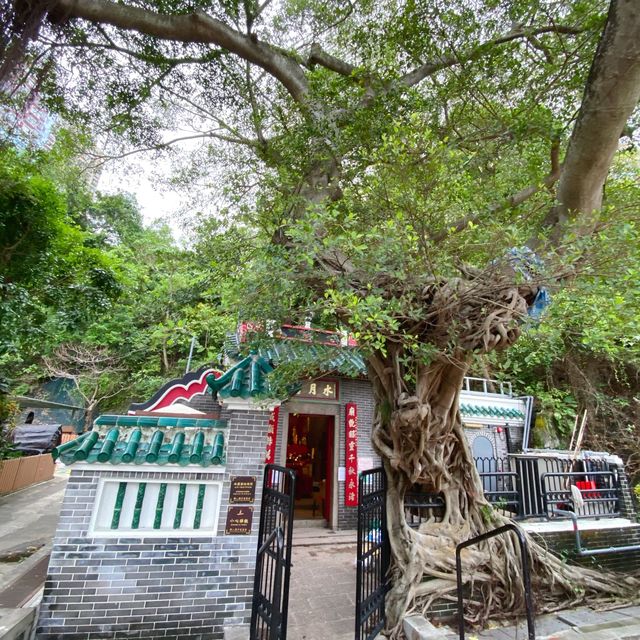 南港島景點 - 鴨脷洲風之塔公園