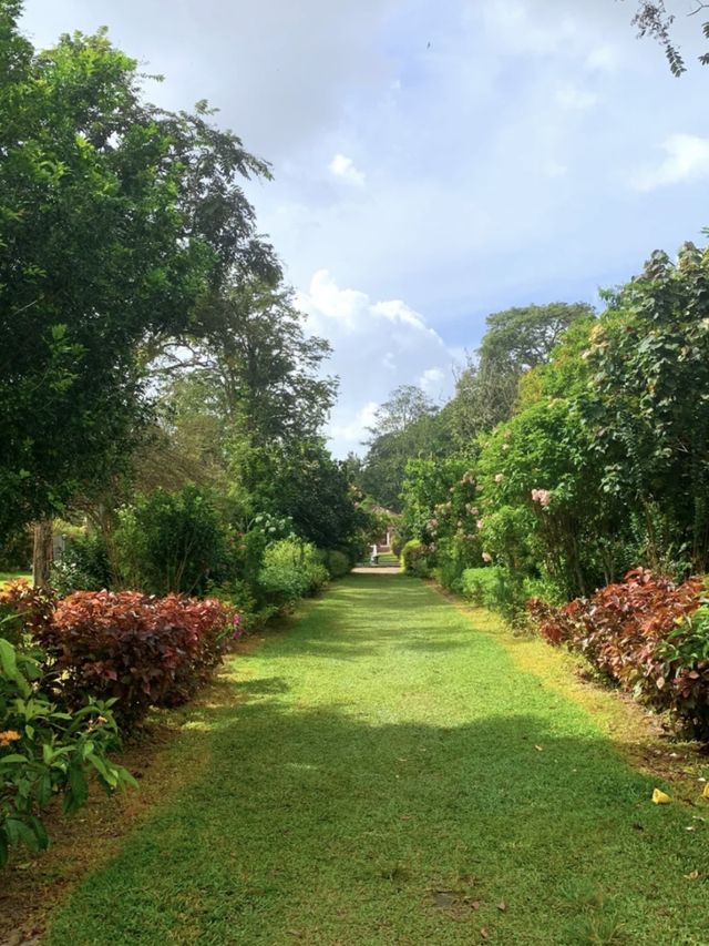 Penang Botanical Garden