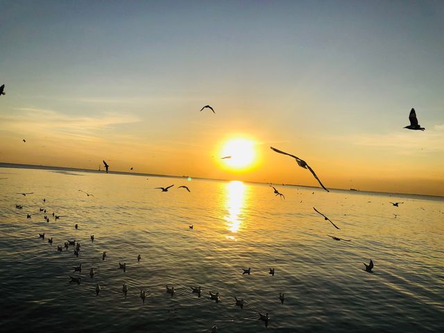 บางปู