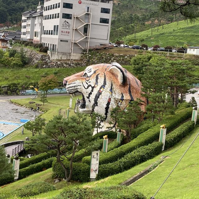동의보감촌