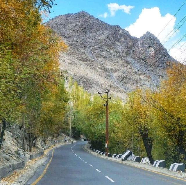 Autumn In Kargil, India