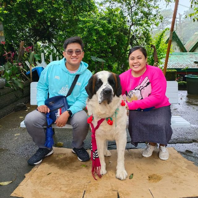 Enjoying Baguio 🥂