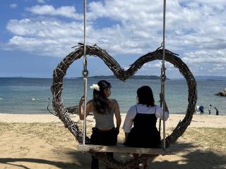 Itoshima Palm Tree Swing