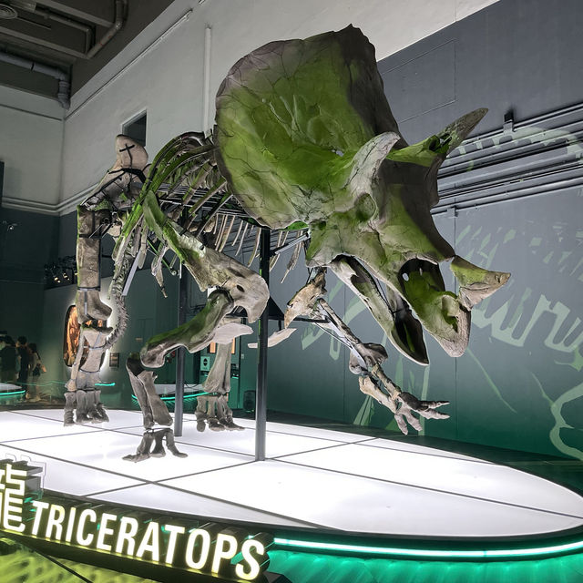 恐龍🦖暑日之旅