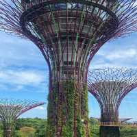 Supertrees Grove and OCBC Skywalk