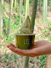 시원하고 청량한 공기 마시러~  담양 “죽녹원”🎋