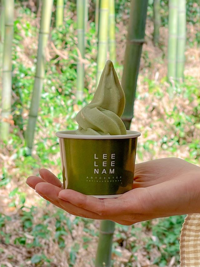 시원하고 청량한 공기 마시러~  담양 “죽녹원”🎋