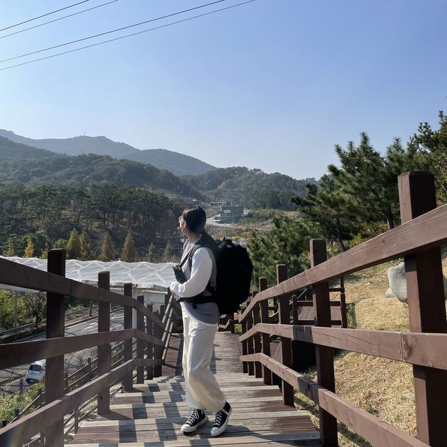 통영을 한 눈에 바라볼 수 있는 통영 케이블카🚠