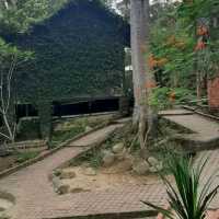 Suria Rimba Chalet 