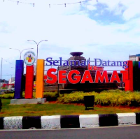 segamat town 