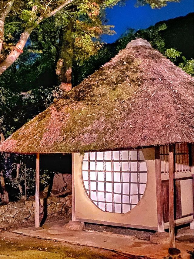 【京都】高台寺 夜間特別拝観✨美しすぎる紅葉ライトアップ✨