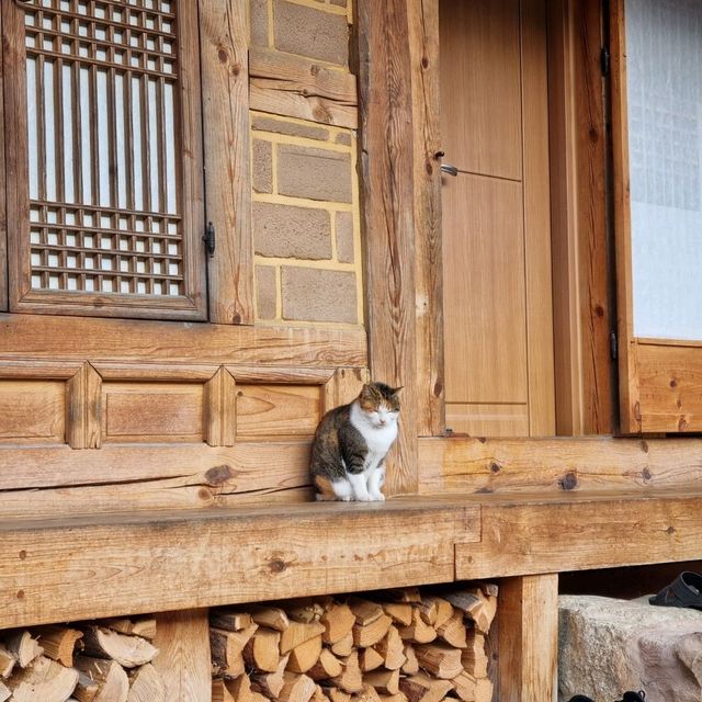 단양 경치에 녹아있는 한옥숙소