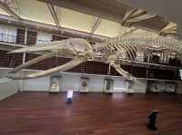 What’s inside the Perth Museum!