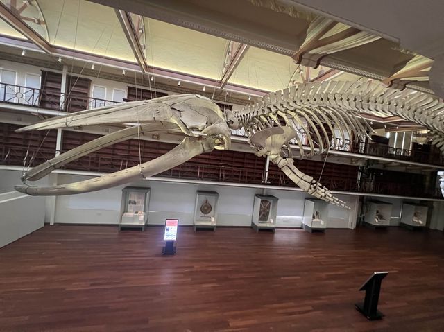What’s inside the Perth Museum!