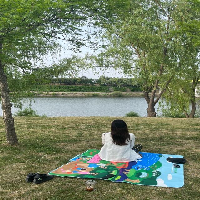 피크닉 하기 좋은 한강