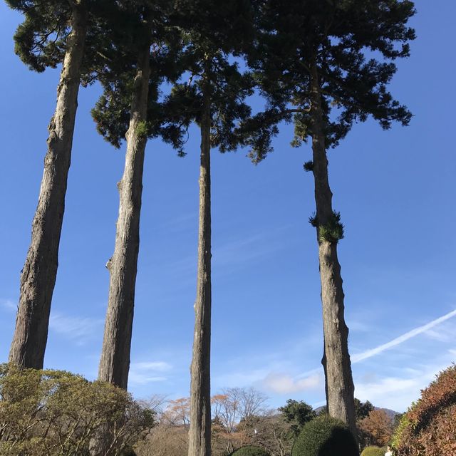 酒店推介 小田急山のhotel